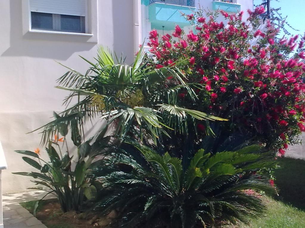 Anna'S Villas By The Sea Πρέβεζα Εξωτερικό φωτογραφία