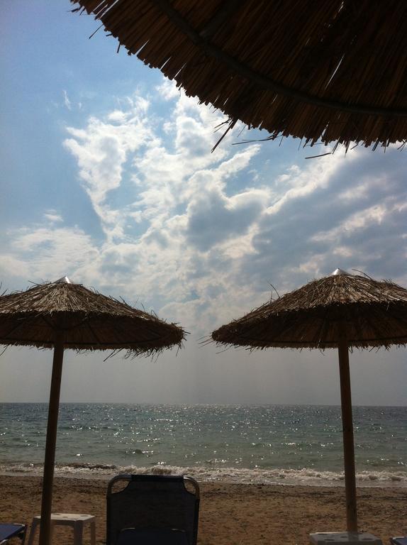 Anna'S Villas By The Sea Πρέβεζα Εξωτερικό φωτογραφία